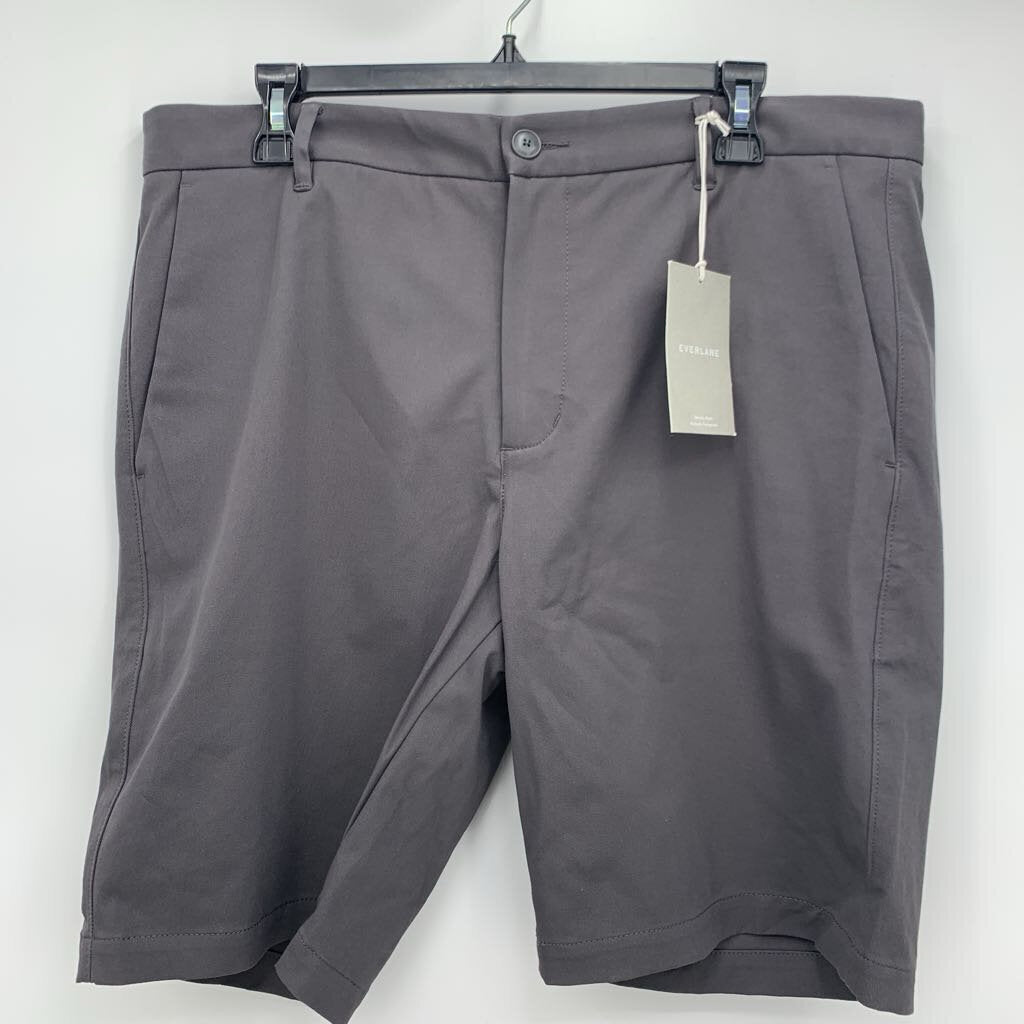 Everlane Shorts NWT