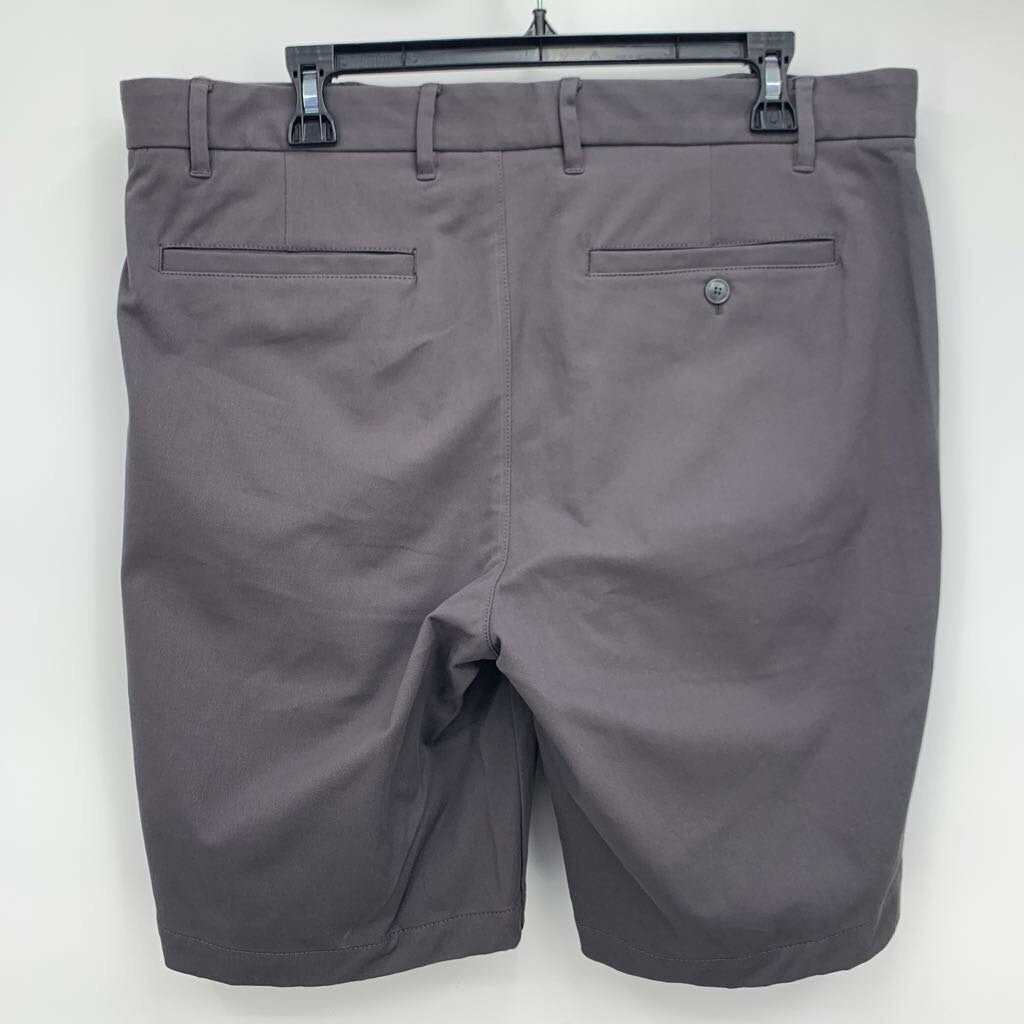 Everlane Shorts NWT
