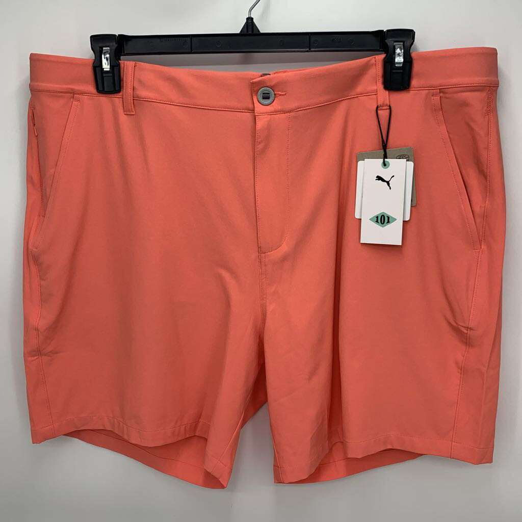 Puma Shorts - NWT