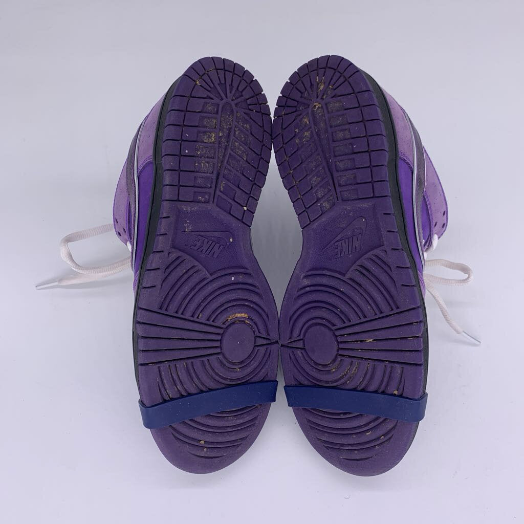 Concepts x Nike 'Purple Lobster' Sneakers