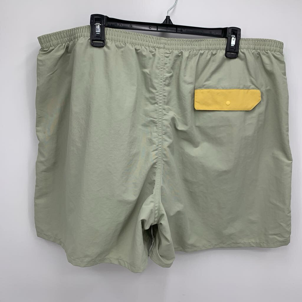 Patagonia Shorts