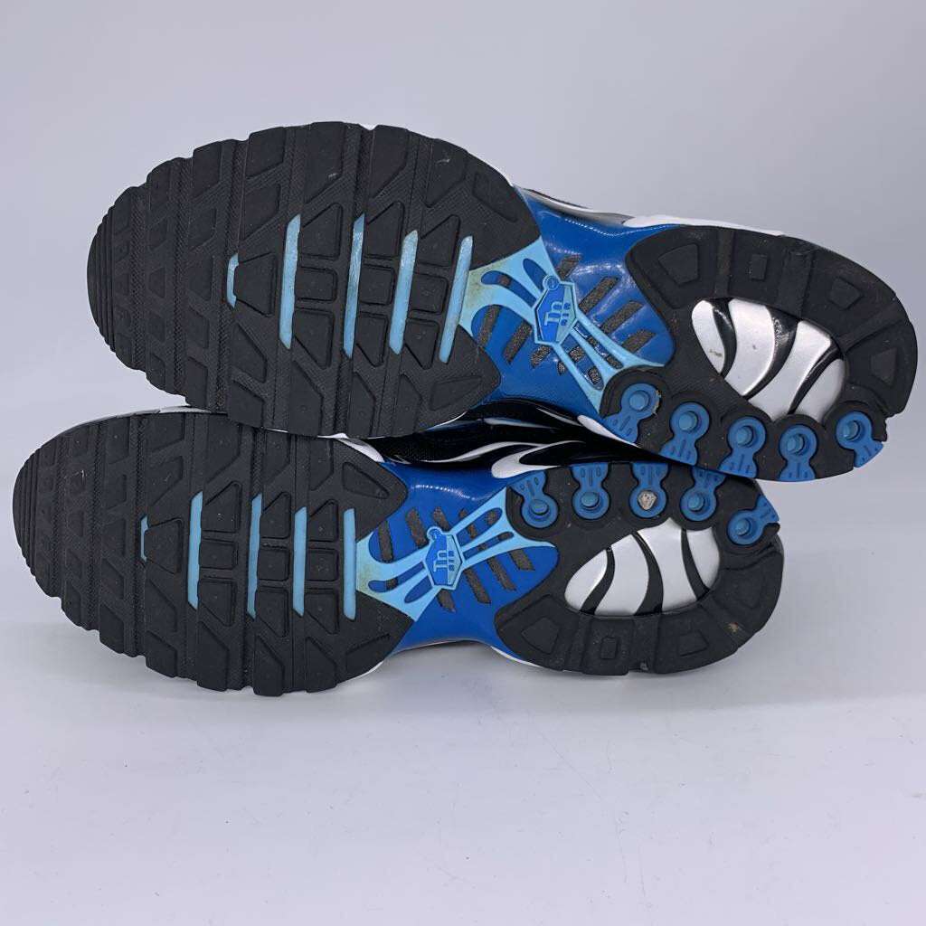 Nike Air Max Plus Aquarius