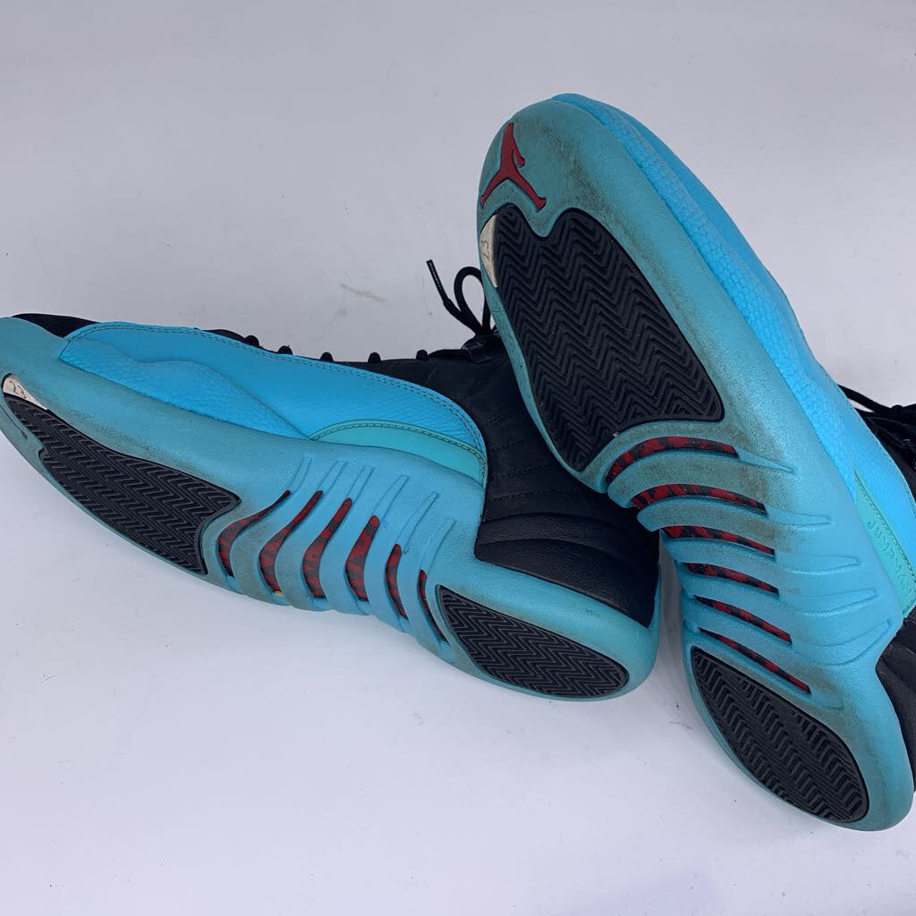 Jordan 12 'Gamma Blue'
