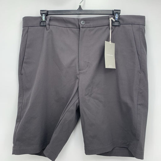Everlane Shorts NWT