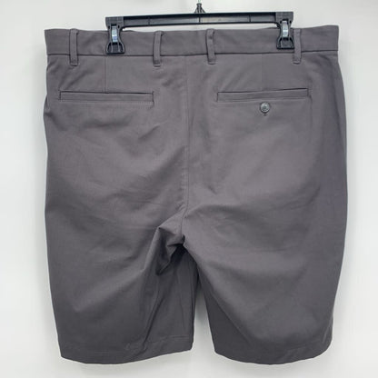 Everlane Shorts NWT