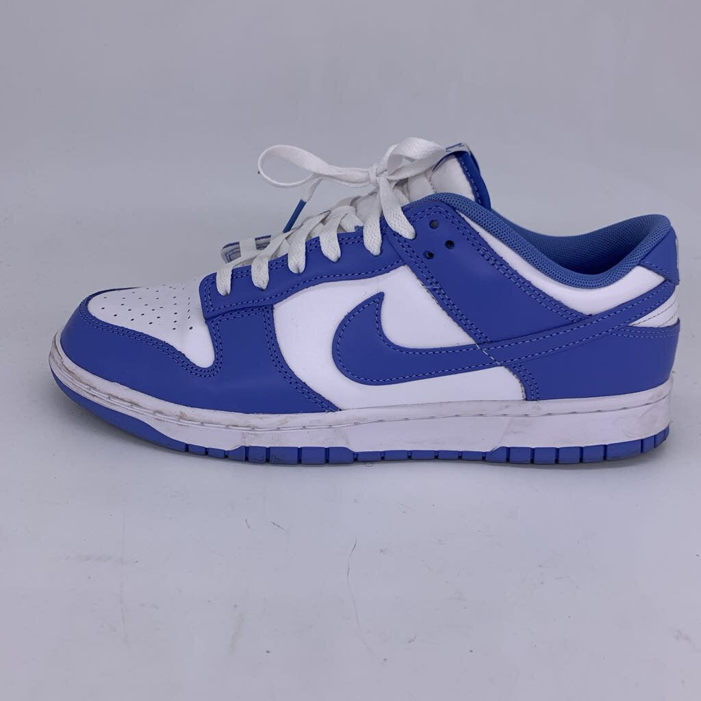 Nike Dunk Low Polar Blue