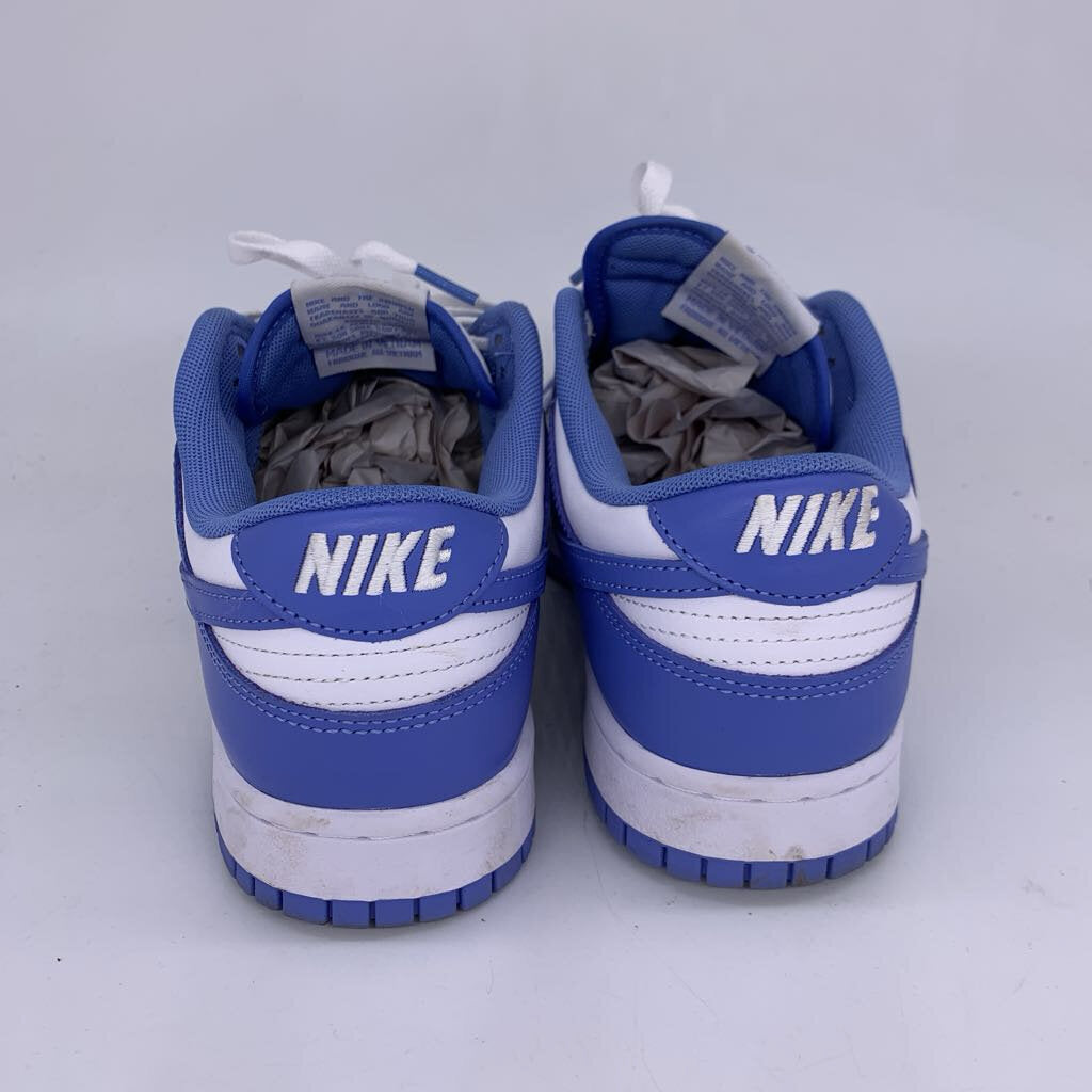 Nike Dunk Low Polar Blue