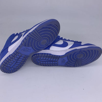 Nike Dunk Low Polar Blue