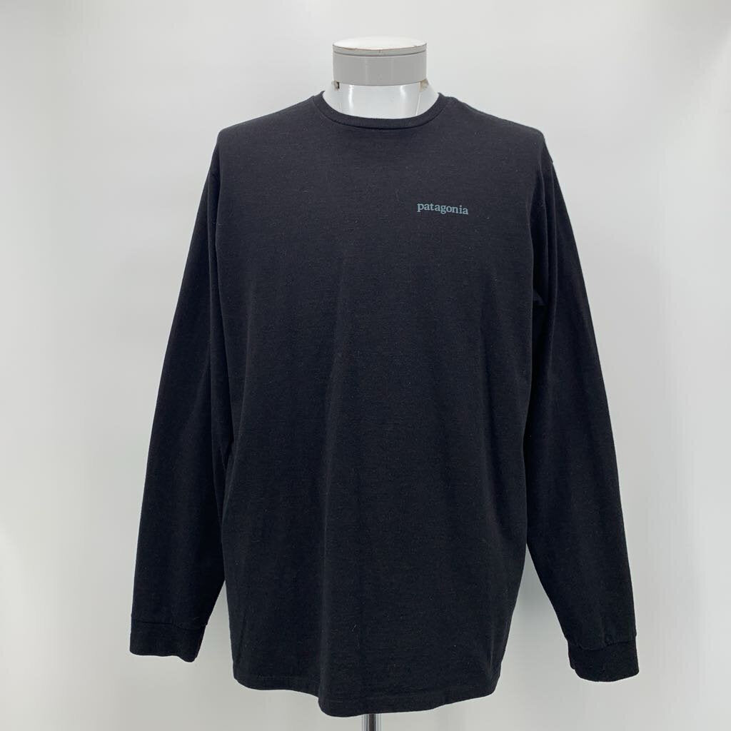 Patagonia T-Shirt LS