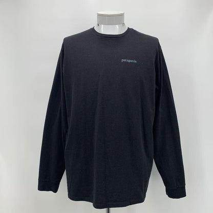 Patagonia T-Shirt LS