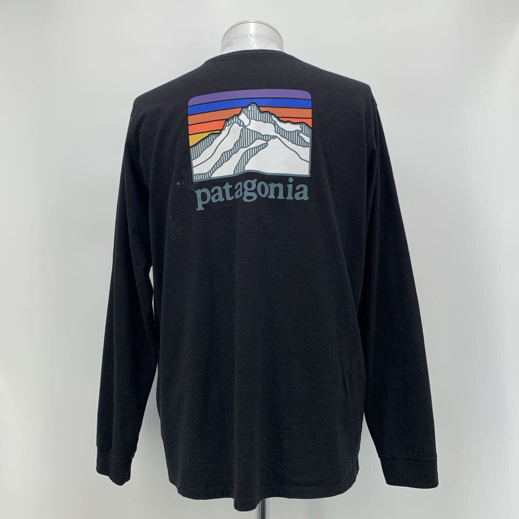 Patagonia T-Shirt LS