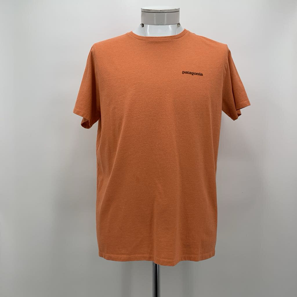 Patagonia T-Shirt SS