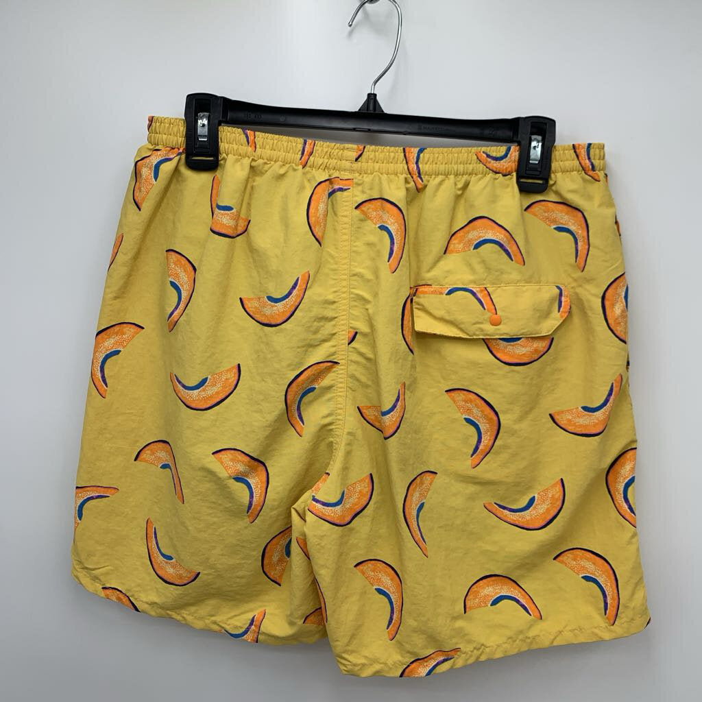 Patagonia Baggies Shorts