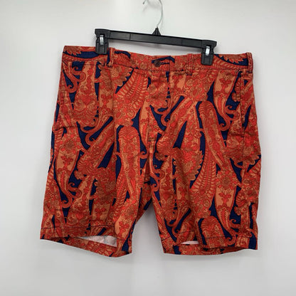 J. Crew Shorts