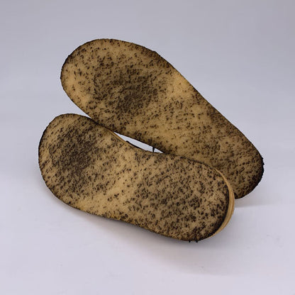 Clarks Desert Trek Shoes