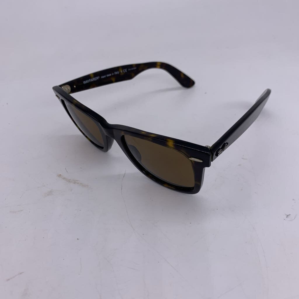 Ray Ban Wayfarer Polarized w/ Case