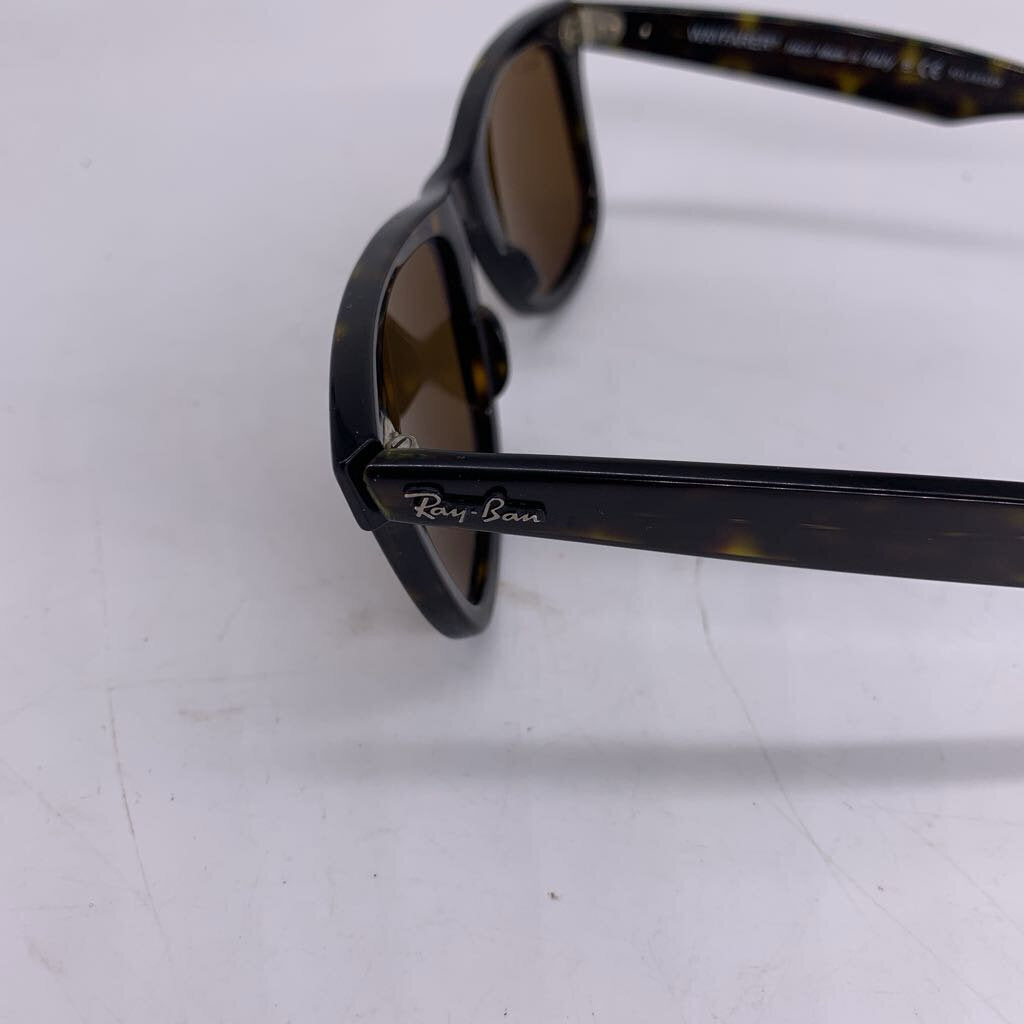 Ray Ban Wayfarer Polarized w/ Case