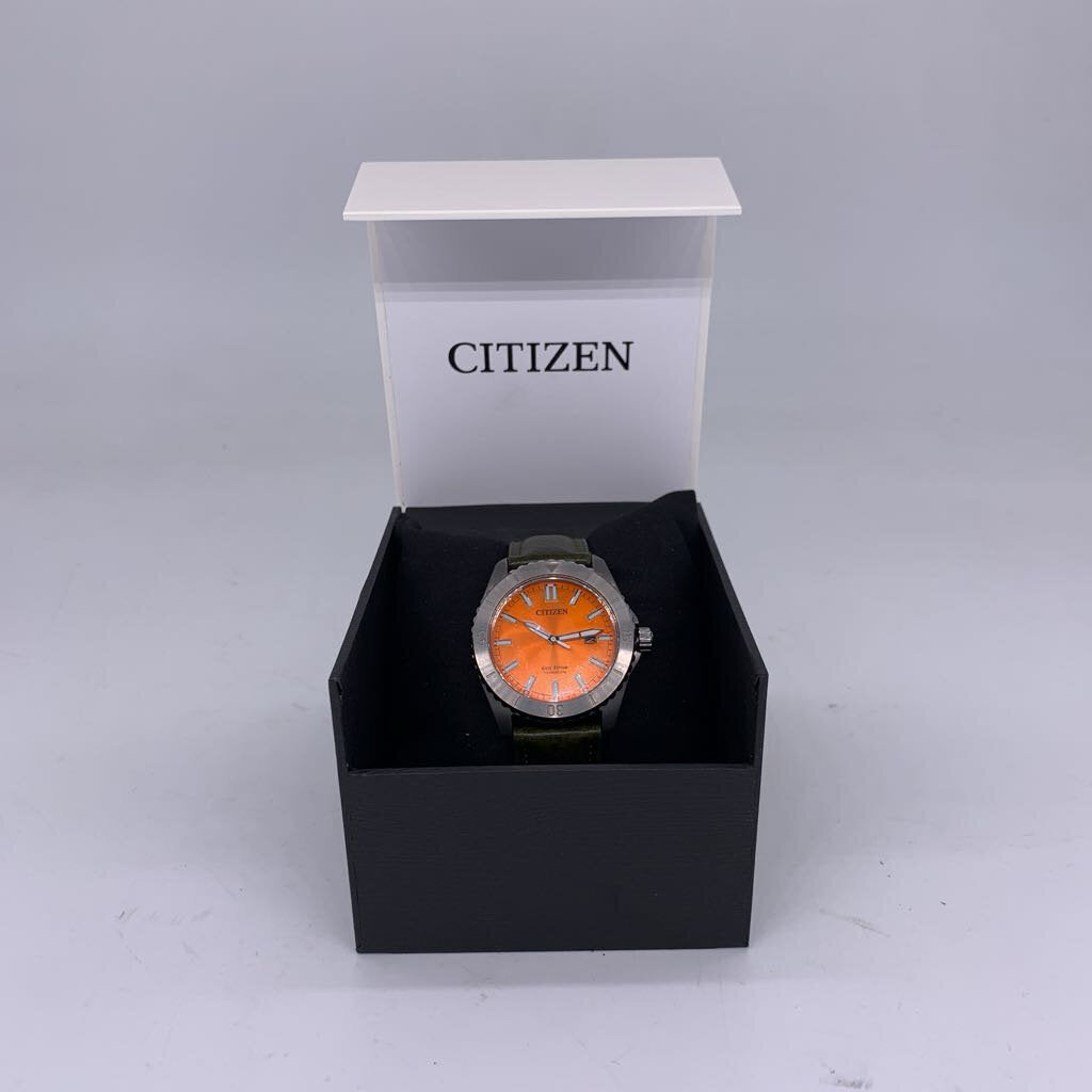 Citizen Weekender Watch