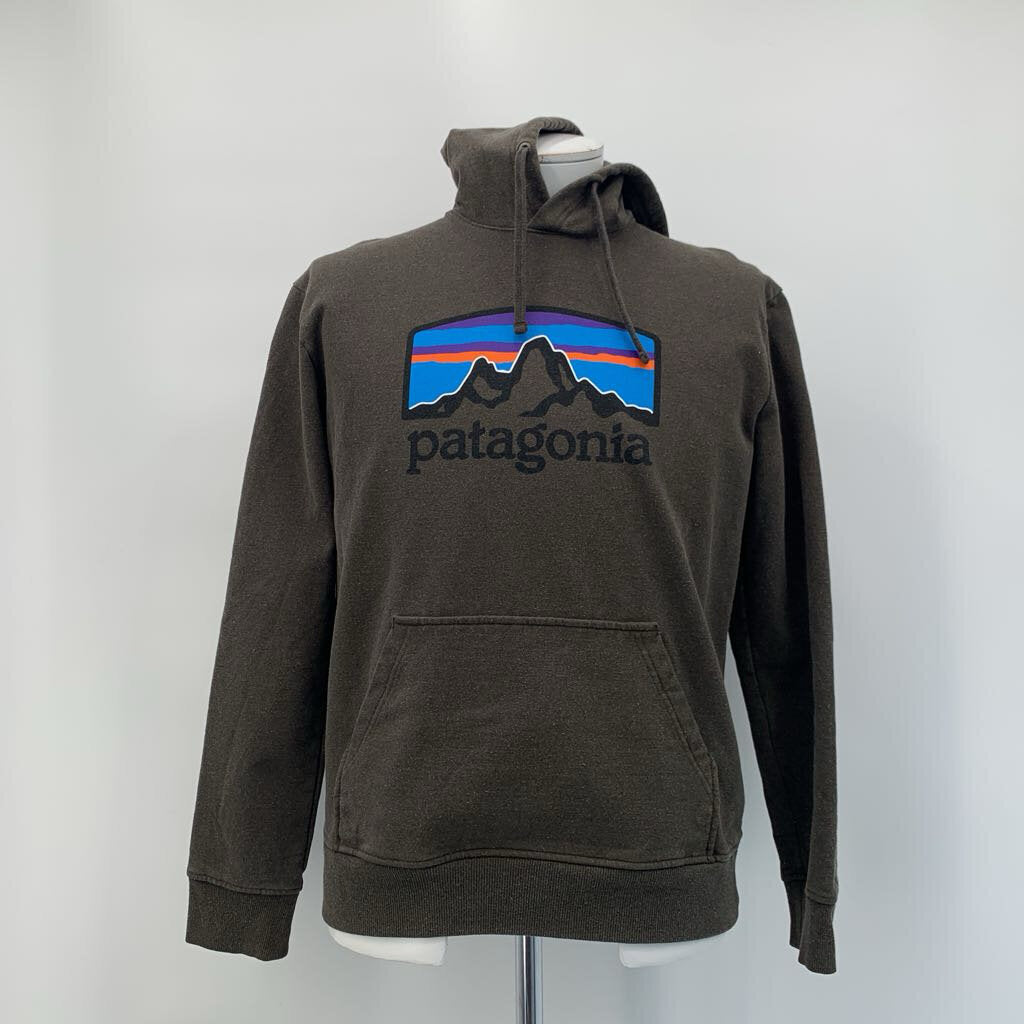 Patagonia Hoodie