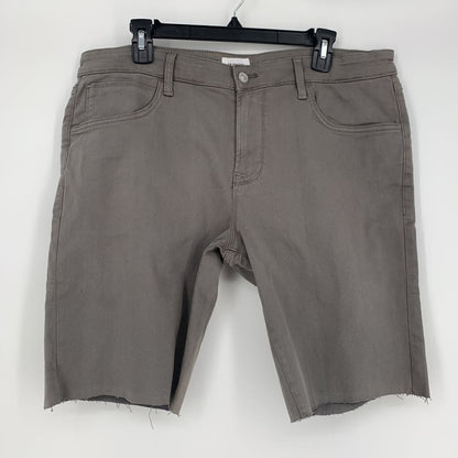 Hudson Shorts NWT